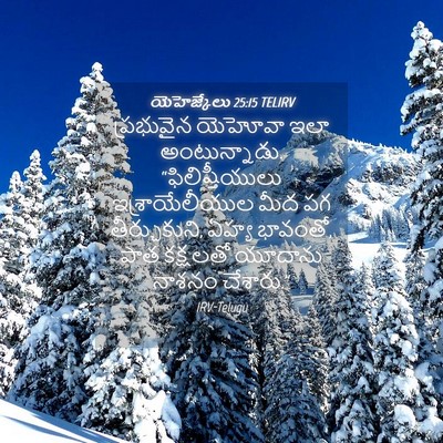 Picture 04 - యెహెజ్కేలు 25:15 TELIRV - ప్రభువైన యెహోవా - Bible Verse Picture