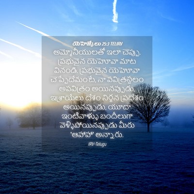 Picture 04 - యెహెజ్కేలు 25:3 TELIRV - అమ్మోనీయులతో ఇలా - Bible Verse Picture