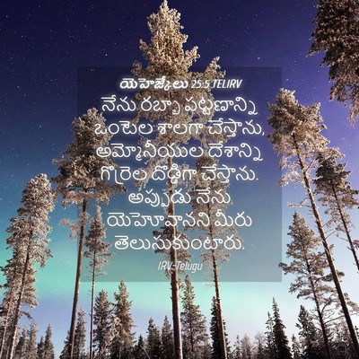 Picture 04 - యెహెజ్కేలు 25:5 TELIRV - నేను రబ్బా - Bible Verse Picture
