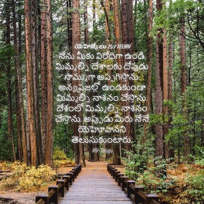 Picture 04 - యెహెజ్కేలు 25:7 TELIRV - నేను మీకు - Bible Verse Picture