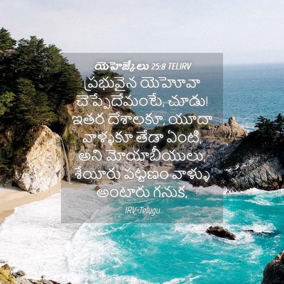 Picture 04 - యెహెజ్కేలు 25:8 TELIRV - ప్రభువైన యెహోవా - Bible Verse Picture