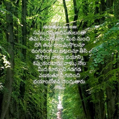 Picture 04 - యెహెజ్కేలు 26:16 TELIRV - సముద్రపు - Bible Verse Picture
