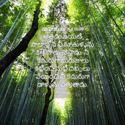 Picture 04 - యెహెజ్కేలు 26:8 TELIRV - అతడు బయటి - Bible Verse Picture