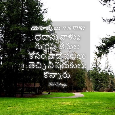 Picture 04 - యెహెజ్కేలు 27:20 TELIRV - దెదాను వాళ్ళు - Bible Verse Picture