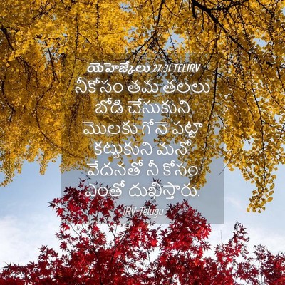 Picture 04 - యెహెజ్కేలు 27:31 TELIRV - నీకోసం తమ తలలు - Bible Verse Picture