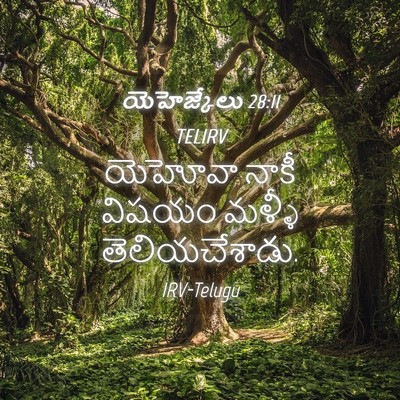 Picture 04 - యెహెజ్కేలు 28:11 TELIRV - యెహోవా నాకీ విషయం - Bible Verse Picture