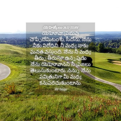 Picture 04 - యెహెజ్కేలు 28:22 TELIRV - యెహోవా ప్రభువు - Bible Verse Picture