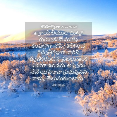 Picture 04 - యెహెజ్కేలు 28:24 TELIRV - ఇశ్రాయేలీయుల - Bible Verse Picture