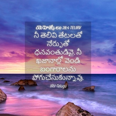 Picture 04 - యెహెజ్కేలు 28:4 TELIRV - నీ తెలివి తేటలతో - Bible Verse Picture