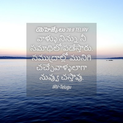 Picture 04 - యెహెజ్కేలు 28:8 TELIRV - వాళ్ళు నిన్ను నీ - Bible Verse Picture