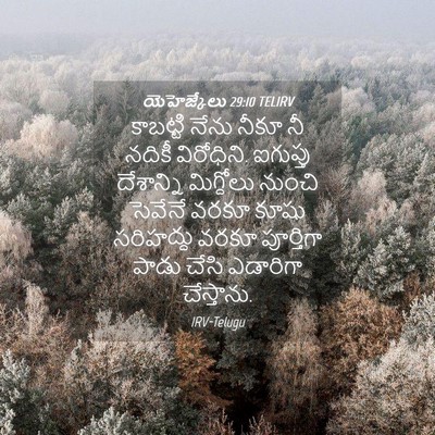 Picture 04 - యెహెజ్కేలు 29:10 TELIRV - కాబట్టి నేను నీకూ - Bible Verse Picture