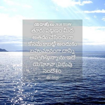 Picture 04 - యెహెజ్కేలు 29:20 TELIRV - తూరు పట్టణం మీద - Bible Verse Picture