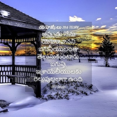 Picture 04 - యెహెజ్కేలు 29:6 TELIRV - అప్పుడు నేను - Bible Verse Picture