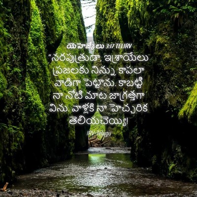 Picture 04 - యెహెజ్కేలు 3:17 TELIRV - “నరపుత్రుడా, - Bible Verse Picture