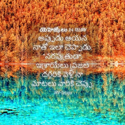 Picture 04 - యెహెజ్కేలు 3:4 TELIRV - అప్పుడు ఆయన నాతో - Bible Verse Picture