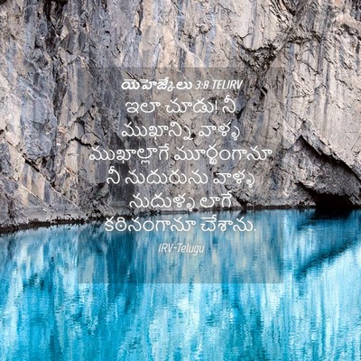 Picture 04 - యెహెజ్కేలు 3:8 TELIRV - ఇలా చూడు! నీ - Bible Verse Picture