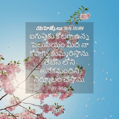Picture 04 - యెహెజ్కేలు 30:15 TELIRV - ఐగుప్తుకు కోటగా - Bible Verse Picture