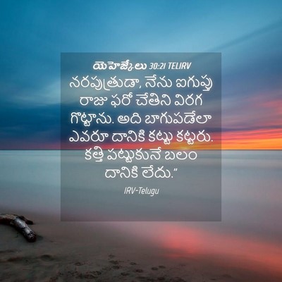 Picture 04 - యెహెజ్కేలు 30:21 TELIRV - నరపుత్రుడా, నేను - Bible Verse Picture
