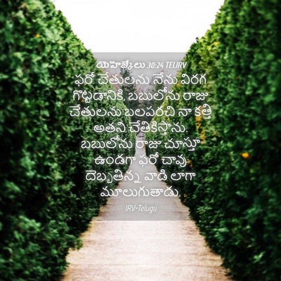 Picture 04 - యెహెజ్కేలు 30:24 TELIRV - ఫరో చేతులను నేను - Bible Verse Picture