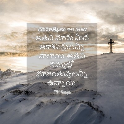Picture 04 - యెహెజ్కేలు 31:13 TELIRV - అతని మోడు మీద - Bible Verse Picture