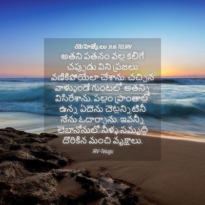 Picture 04 - యెహెజ్కేలు 31:16 TELIRV - అతని పతనం వల్ల - Bible Verse Picture