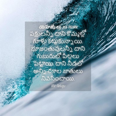 Picture 04 - యెహెజ్కేలు 31:6 TELIRV - పక్షులన్నీ దాని - Bible Verse Picture