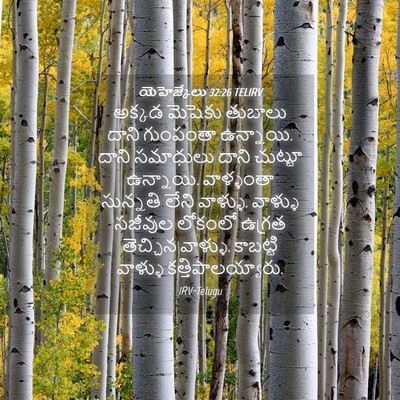 Picture 04 - యెహెజ్కేలు 32:26 TELIRV - అక్కడ మెషెకు - Bible Verse Picture