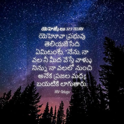 Picture 04 - యెహెజ్కేలు 32:3 TELIRV - యెహోవా ప్రభువు - Bible Verse Picture