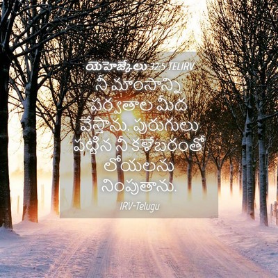Picture 04 - యెహెజ్కేలు 32:5 TELIRV - నీ మాంసాన్ని - Bible Verse Picture