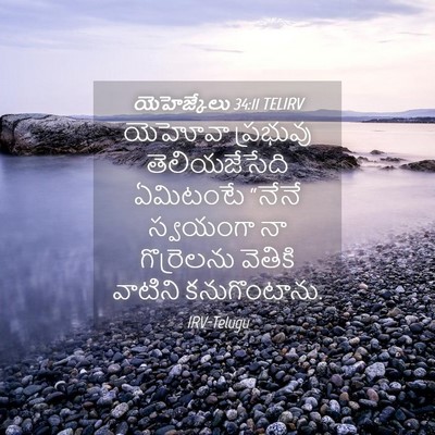 Picture 04 - యెహెజ్కేలు 34:11 TELIRV - యెహోవా ప్రభువు - Bible Verse Picture