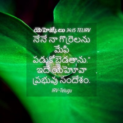 Picture 04 - యెహెజ్కేలు 34:15 TELIRV - నేనే నా గొర్రెలను - Bible Verse Picture