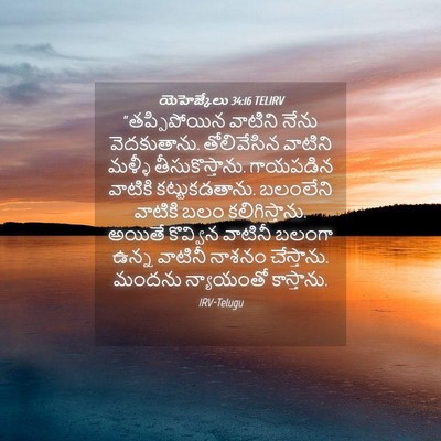 Picture 04 - యెహెజ్కేలు 34:16 TELIRV - “తప్పిపోయిన - Bible Verse Picture