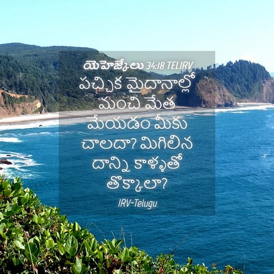 Picture 04 - యెహెజ్కేలు 34:18 TELIRV - పచ్చిక మైదానాల్లో - Bible Verse Picture