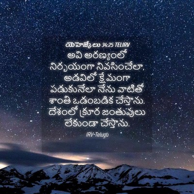 Picture 04 - యెహెజ్కేలు 34:25 TELIRV - అవి అరణ్యంలో - Bible Verse Picture