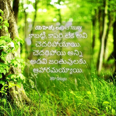 Picture 04 - యెహెజ్కేలు 34:5 TELIRV - కాబట్టి, కాపరి లేక - Bible Verse Picture