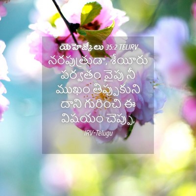 Picture 04 - యెహెజ్కేలు 35:2 TELIRV - నరపుత్రుడా, - Bible Verse Picture