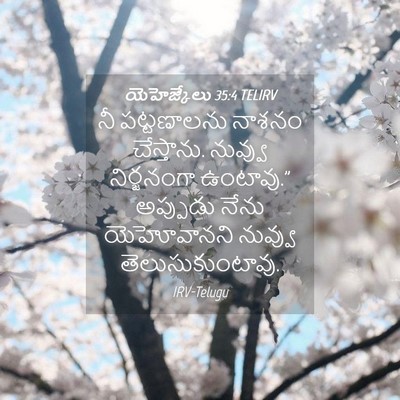Picture 04 - యెహెజ్కేలు 35:4 TELIRV - నీ పట్టణాలను - Bible Verse Picture