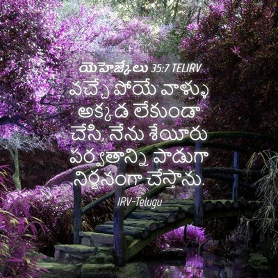 Picture 04 - యెహెజ్కేలు 35:7 TELIRV - వచ్చే పోయే వాళ్ళు - Bible Verse Picture