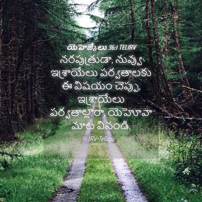 Picture 04 - యెహెజ్కేలు 36:1 TELIRV - నరపుత్రుడా, - Bible Verse Picture
