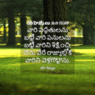 Picture 04 - యెహెజ్కేలు 36:19 TELIRV - వారి పద్ధతులను - Bible Verse Picture