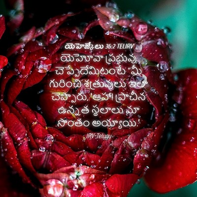 Picture 04 - యెహెజ్కేలు 36:2 TELIRV - యెహోవా ప్రభువు - Bible Verse Picture