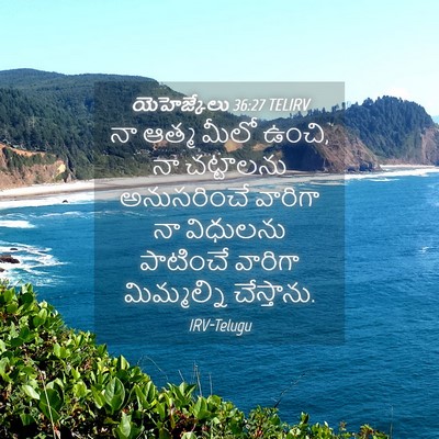 Picture 04 - యెహెజ్కేలు 36:27 TELIRV - నా ఆత్మ మీలో ఉంచి, - Bible Verse Picture