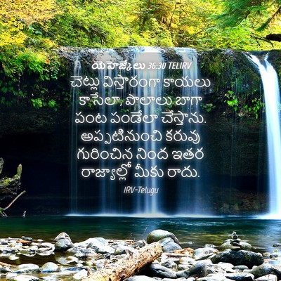Picture 04 - యెహెజ్కేలు 36:30 TELIRV - చెట్లు విస్తారంగా - Bible Verse Picture