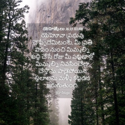 Picture 04 - యెహెజ్కేలు 36:33 TELIRV - యెహోవా ప్రభువు - Bible Verse Picture