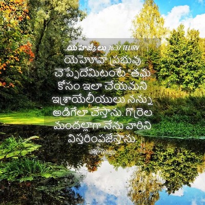 Picture 04 - యెహెజ్కేలు 36:37 TELIRV - యెహోవా ప్రభువు - Bible Verse Picture