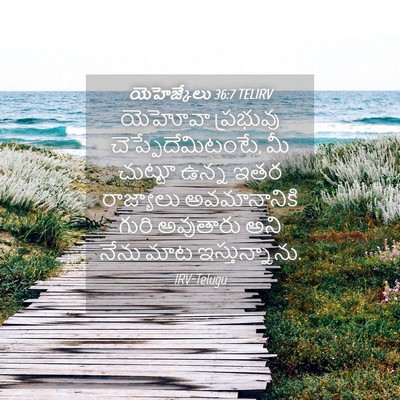 Picture 04 - యెహెజ్కేలు 36:7 TELIRV - యెహోవా ప్రభువు - Bible Verse Picture