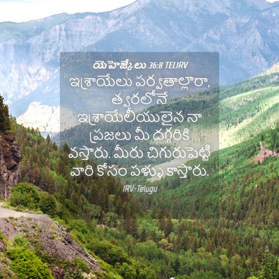 Picture 04 - యెహెజ్కేలు 36:8 TELIRV - ఇశ్రాయేలు - Bible Verse Picture