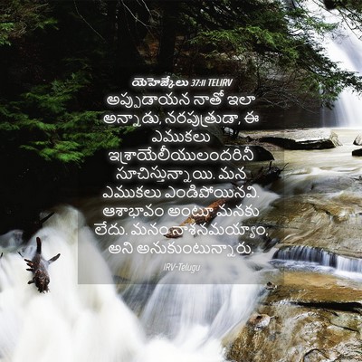 Picture 04 - యెహెజ్కేలు 37:11 TELIRV - అప్పుడాయన నాతో - Bible Verse Picture