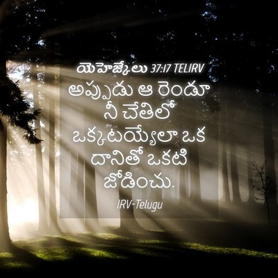 Picture 04 - యెహెజ్కేలు 37:17 TELIRV - అప్పుడు ఆ రెండూ నీ - Bible Verse Picture