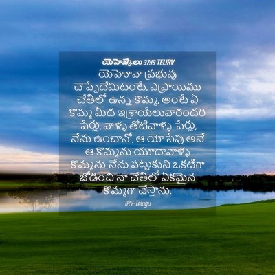 Picture 04 - యెహెజ్కేలు 37:19 TELIRV - యెహోవా ప్రభువు - Bible Verse Picture